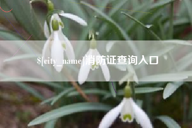 文昌消防证查询入口