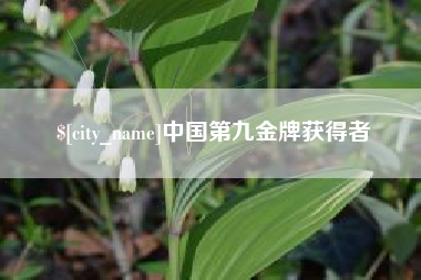 文昌中国第九金牌获得者