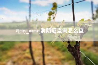 文昌消防证查询怎么查