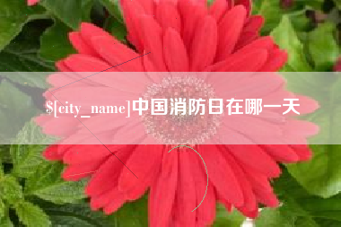 文昌中国消防日在哪一天