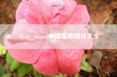 文昌中国金牌图片大全