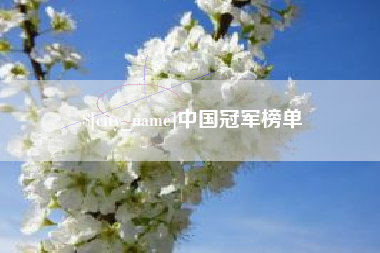 文昌中国冠军榜单
