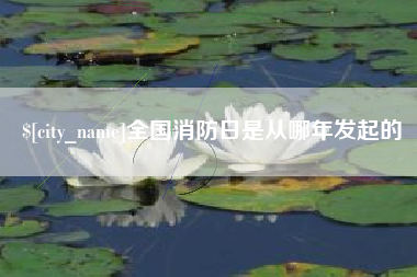 文昌全国消防日是从哪年发起的