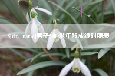 文昌男子5000米年龄成绩对照表