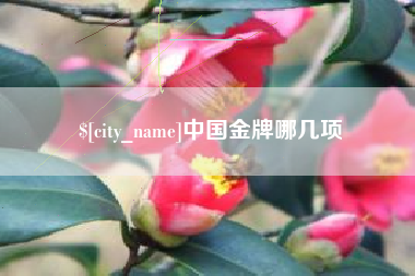 文昌中国金牌哪几项