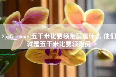 文昌五千米比赛领跑员是什么-他们就是五千米比赛领跑员