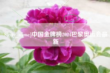 文昌中国金牌榜2024巴黎奥运会最新