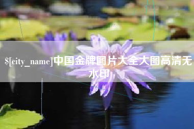 文昌中国金牌图片大全大图高清无水印