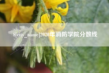 文昌2020年消防学院分数线
