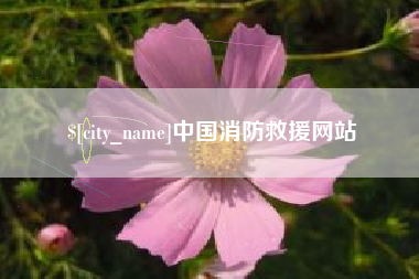 文昌中国消防救援网站