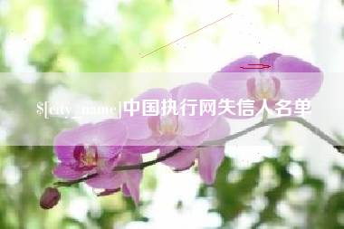 文昌中国执行网失信人名单
