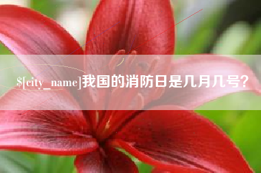 文昌我国的消防日是几月几号？