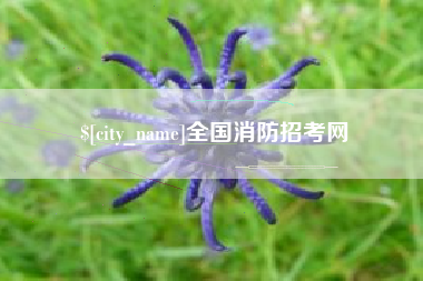 文昌全国消防招考网