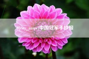 文昌中国冠军手抄报