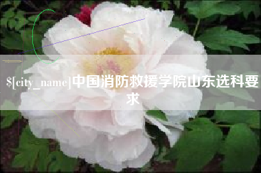 文昌中国消防救援学院山东选科要求