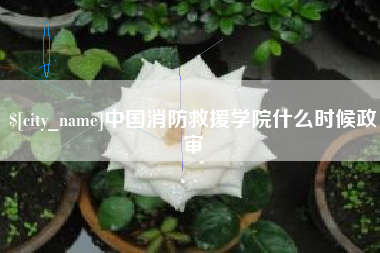 文昌中国消防救援学院什么时候政审