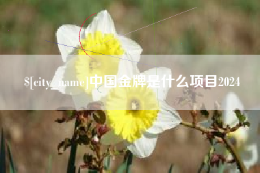 文昌中国金牌是什么项目2024
