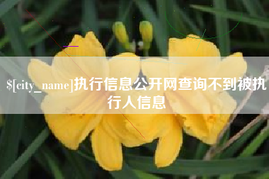 文昌执行信息公开网查询不到被执行人信息