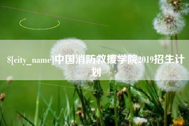 文昌中国消防救援学院2019招生计划
