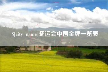 文昌冬运会中国金牌一览表