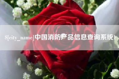 文昌中国消防产品信息查询系统1