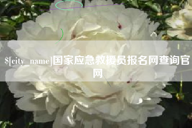 文昌国家应急救援员报名网查询官网