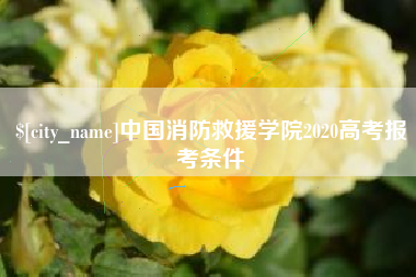 文昌中国消防救援学院2020高考报考条件