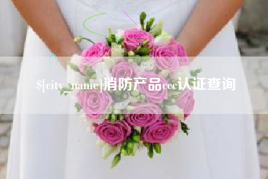 文昌消防产品ccc认证查询