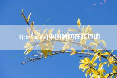 文昌中国消防在线查询