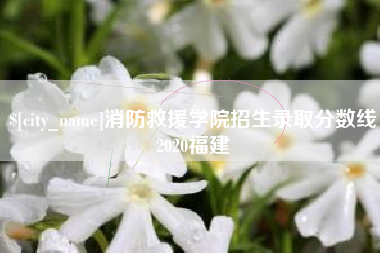 文昌消防救援学院招生录取分数线2020福建