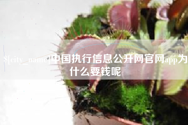 文昌中国执行信息公开网官网app为什么要钱呢