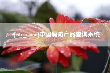 文昌中国消防产品查询系统