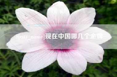 文昌现在中国哪几个金牌