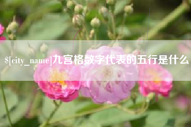 文昌九宫格数字代表的五行是什么