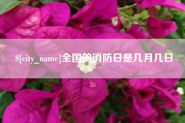 文昌全国的消防日是几月几日