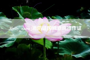 文昌消防证国网查询操作证