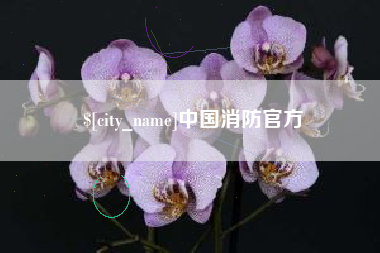 文昌中国消防官方