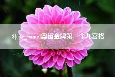 文昌奥运金牌第二个九宫格