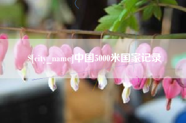 文昌中国5000米国家记录