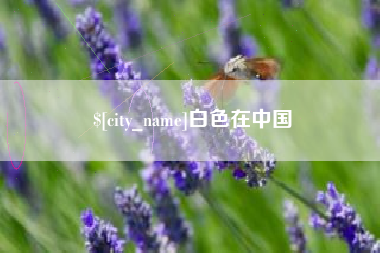文昌白色在中国