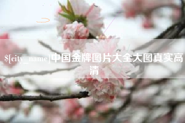 文昌中国金牌图片大全大图真实高清