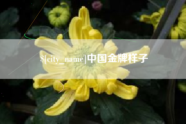 文昌中国金牌样子