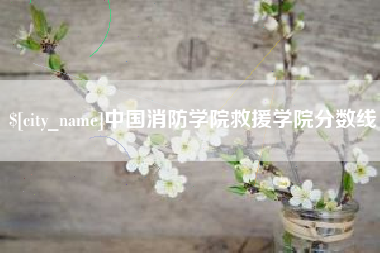文昌中国消防学院救援学院分数线