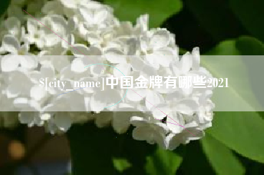 文昌中国金牌有哪些2021