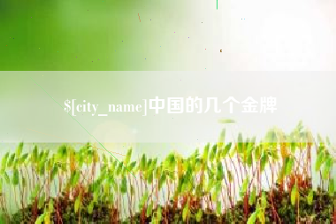 文昌中国的几个金牌