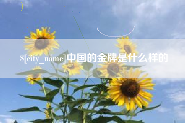 文昌中国的金牌是什么样的