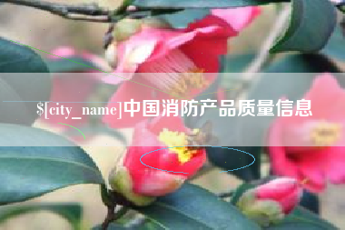 文昌中国消防产品质量信息