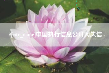 文昌中国执行信息公开网失信