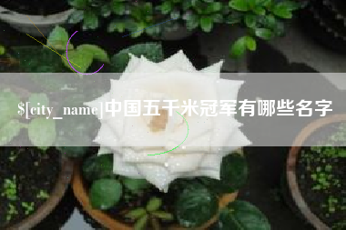 文昌中国五千米冠军有哪些名字