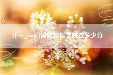 文昌消防救援学院要多少分